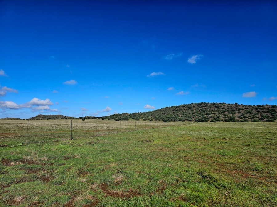 3 Bedroom Property for Sale in Bloemfontein Rural Free State